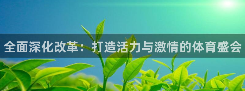 678体育：全面深化改革：打造活力与激情的体育盛会