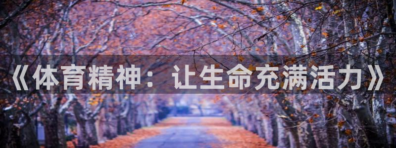 678体育官网下载：《体育精神：让生命充满活力》
