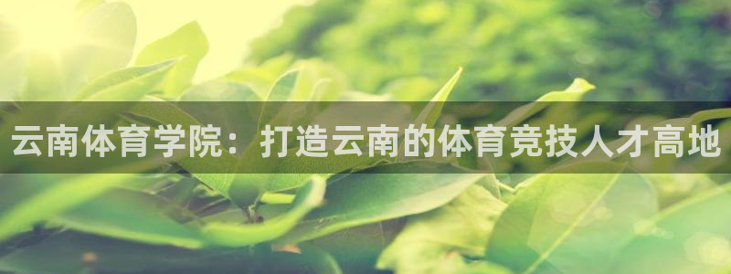皇冠678体育：云南体育学院：打造云南的体育竞技人才高地