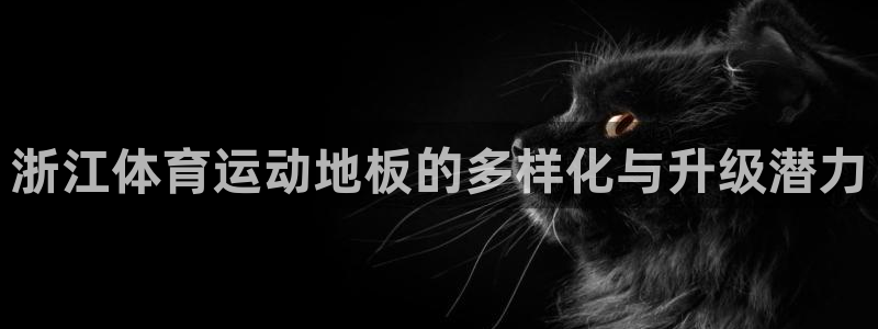 678体育知识：浙江体育运动地板的多样化与升级潜力