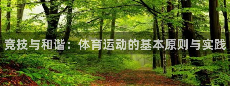 678体育：竞技与和谐：体育运动的基本原则与实践