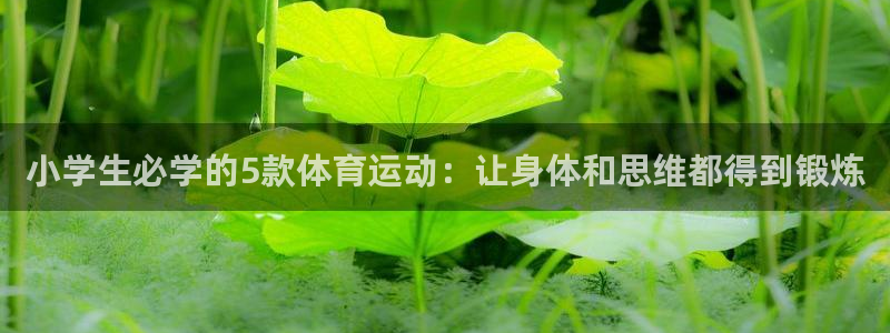 皇冠678体育：小学生必学的5款体育运动：让身体和思维都得到锻炼