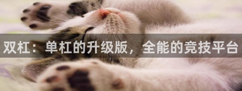 678体育：双杠：单杠的升级版，全能的竞技平台