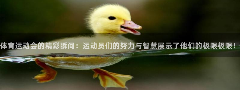 678体育app：体育运动会的精彩瞬间：运动员们的努力与智慧展示了他们的极限极限！