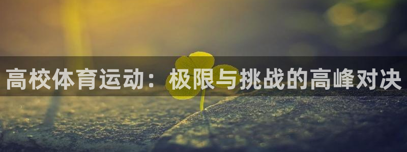 678体育app：高校体育运动：极限与挑战的高峰对决